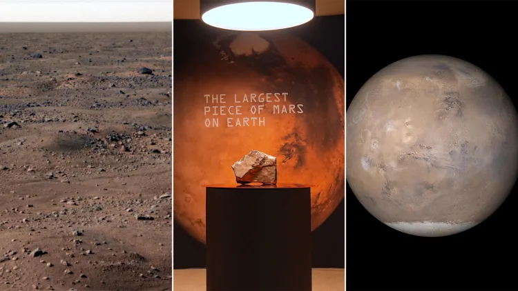 [Fotos: NASA/JPL-Caltech/Universidad de Arizona/Universidad Texas A&M, Selcuk Acar/Anadolu vía Getty Images, NASA/JPL/Malin Space Science Systems]