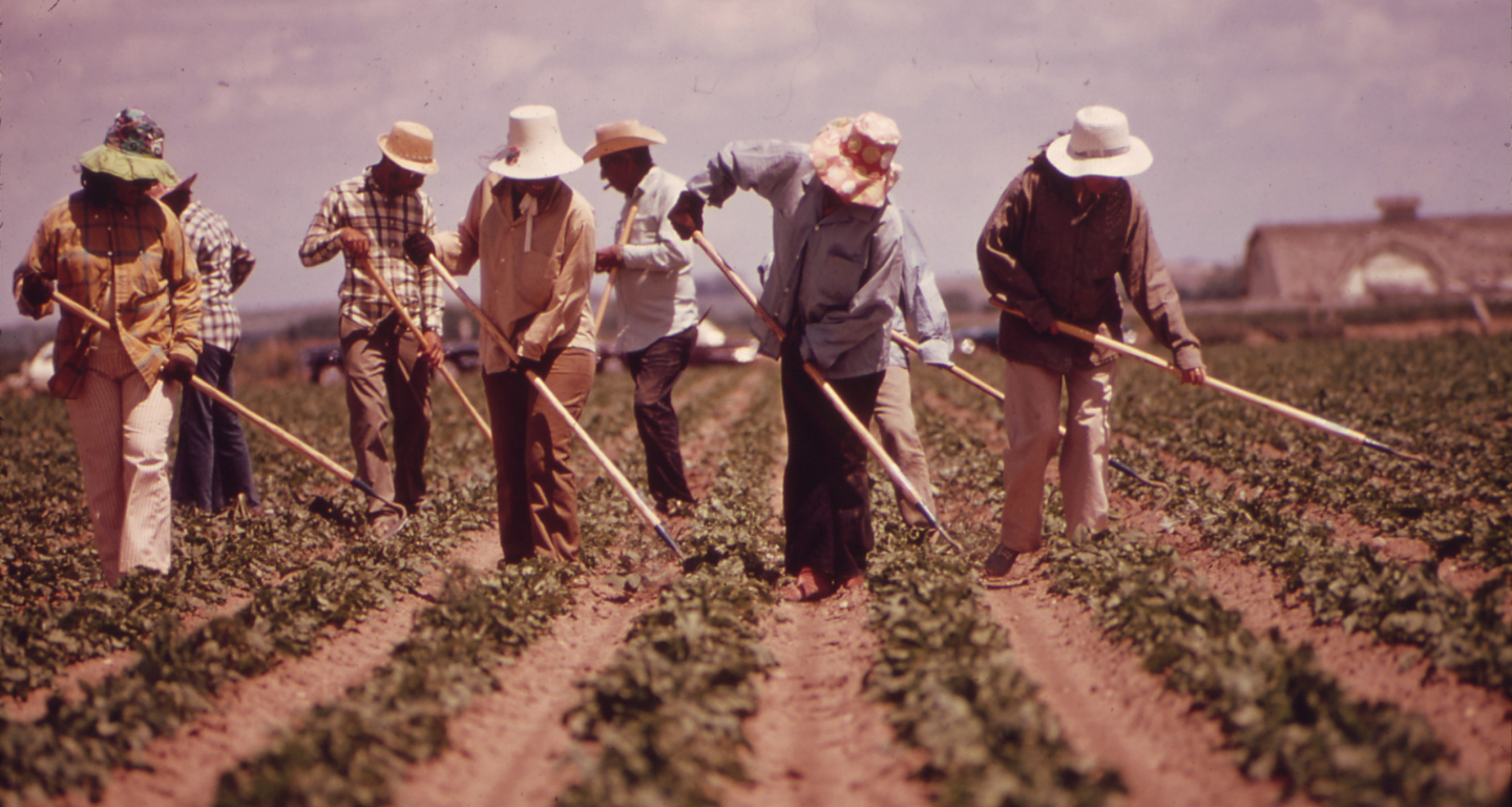 Migrantes en un campo de Fort Collins, Colorado, en junio de 1972. [Foto: EPA/National Archives at College Park vía Wikimedia Commons]