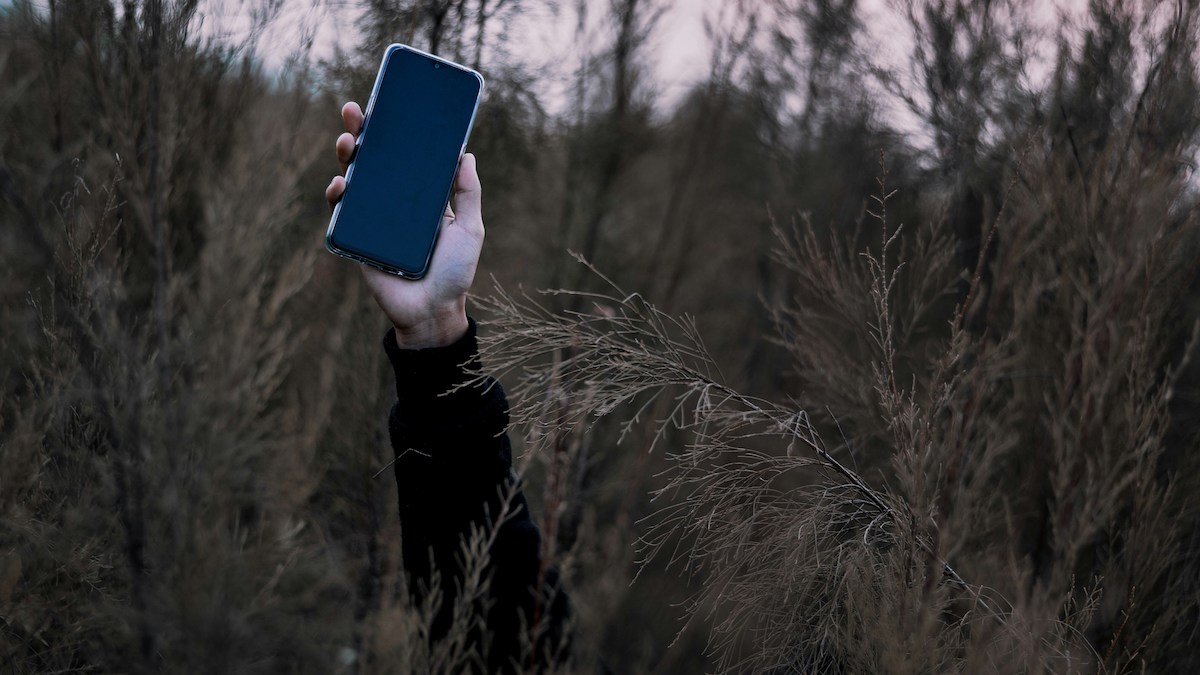 [Foto: Nijwam Swargiary / Unsplash]