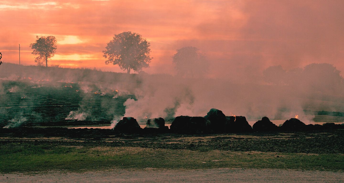 [Fotos: Doronenko/Wikimedia Commons]