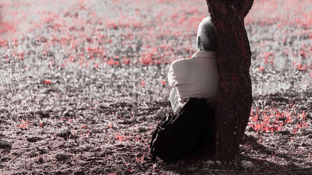 [Foto: José Antonio Alba / Pixabay]