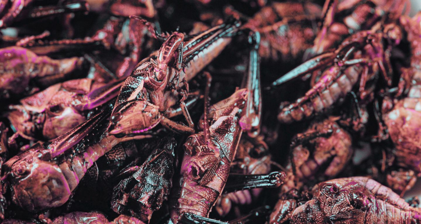 [Foto: Pexels]