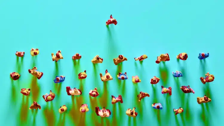 [Foto: Adobe Stock]

