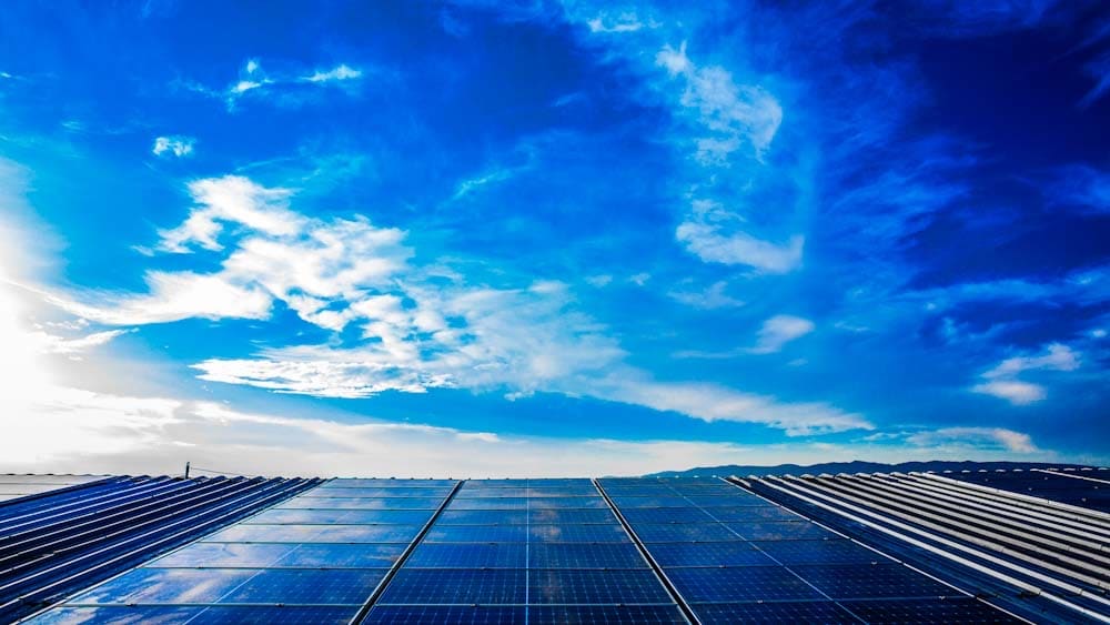 [Foto: cortesía Iberdrola México]