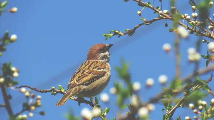 [Foto: Anastasiya Romanova /Unsplash]