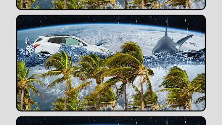 [Imágenes: Adobe Stock]