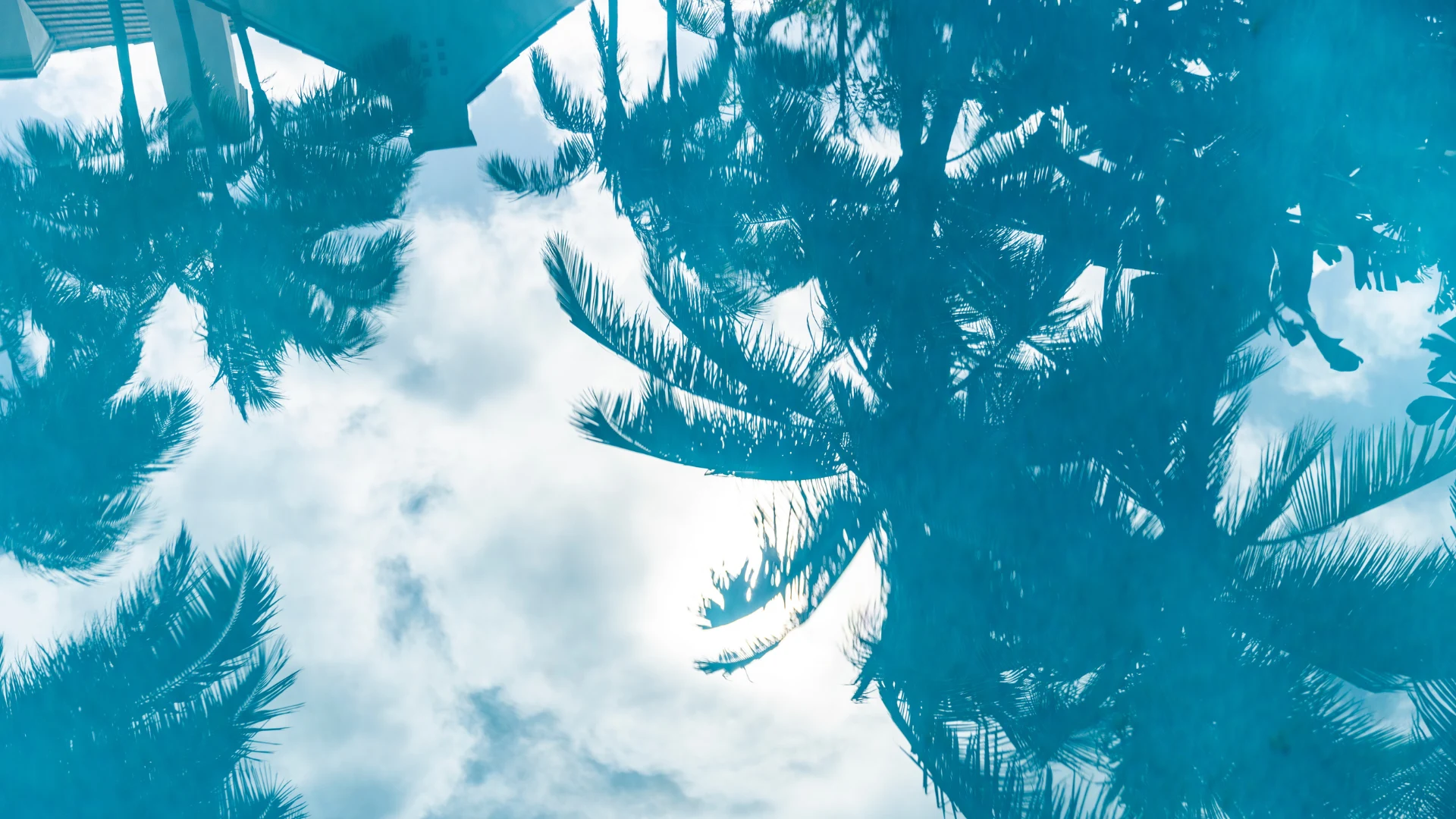 [Photo: Getty Images]