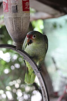 áreas protegidas fauna Fast Company