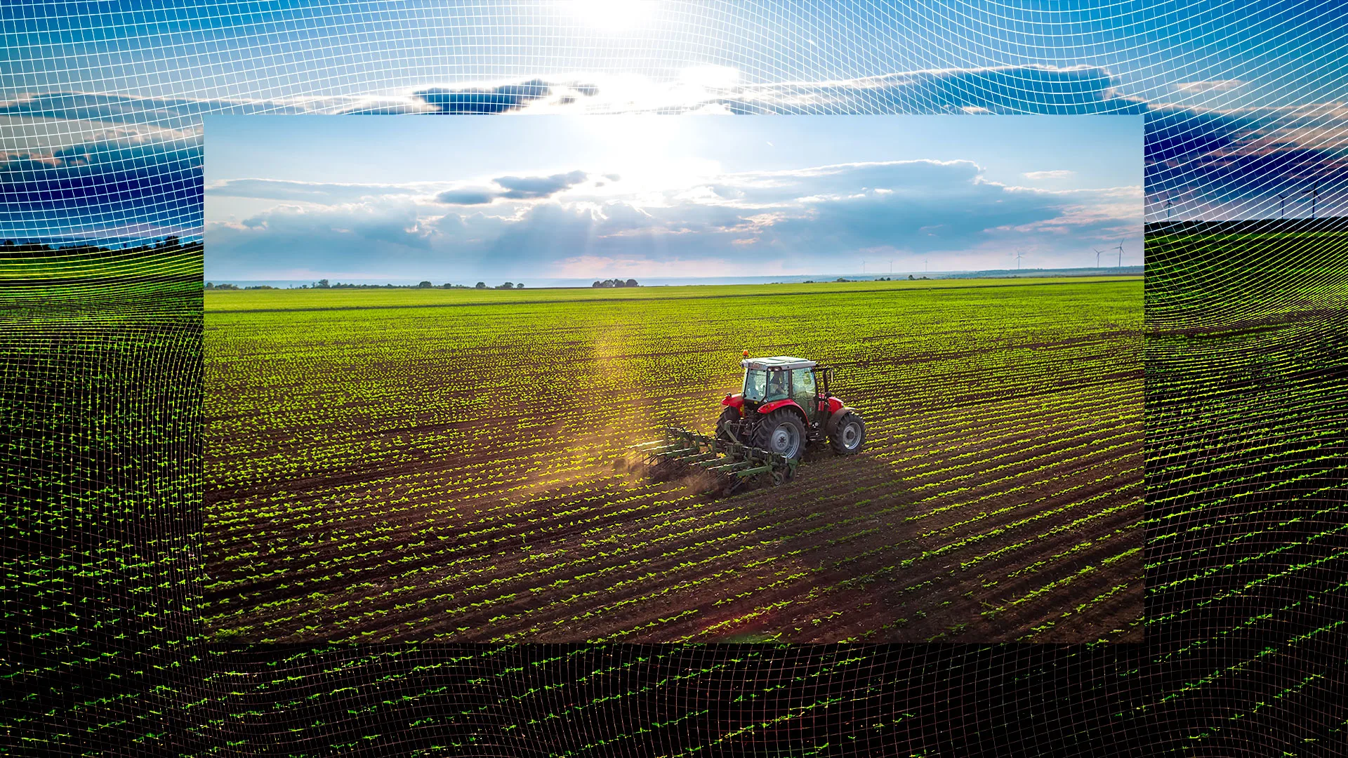 [Imágenes: Adobe Stock]