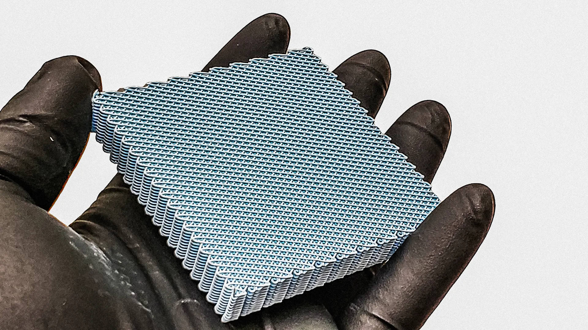 [Foto: Dimension Bio]