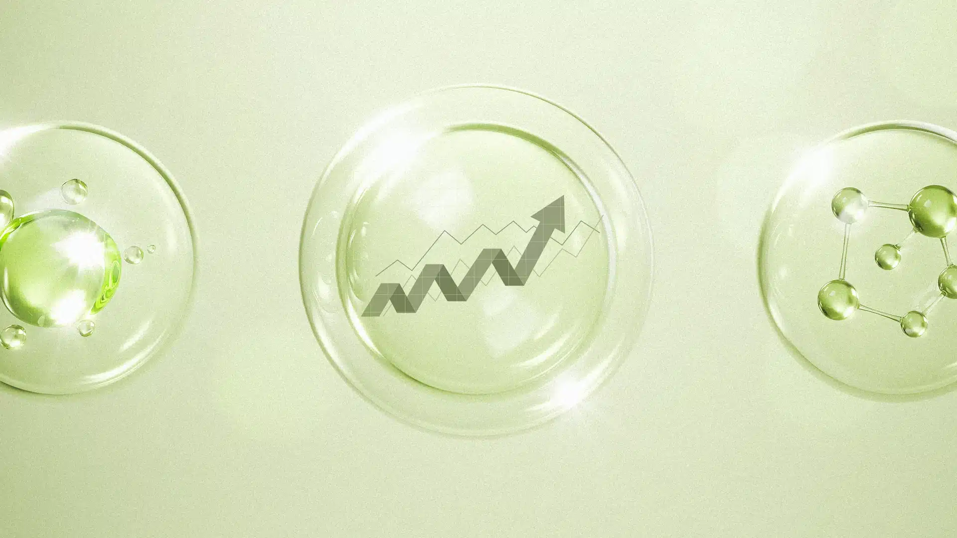 [Imágenes: Anusorn/Adobe Stock; PictureXpress/Adobe Stock]