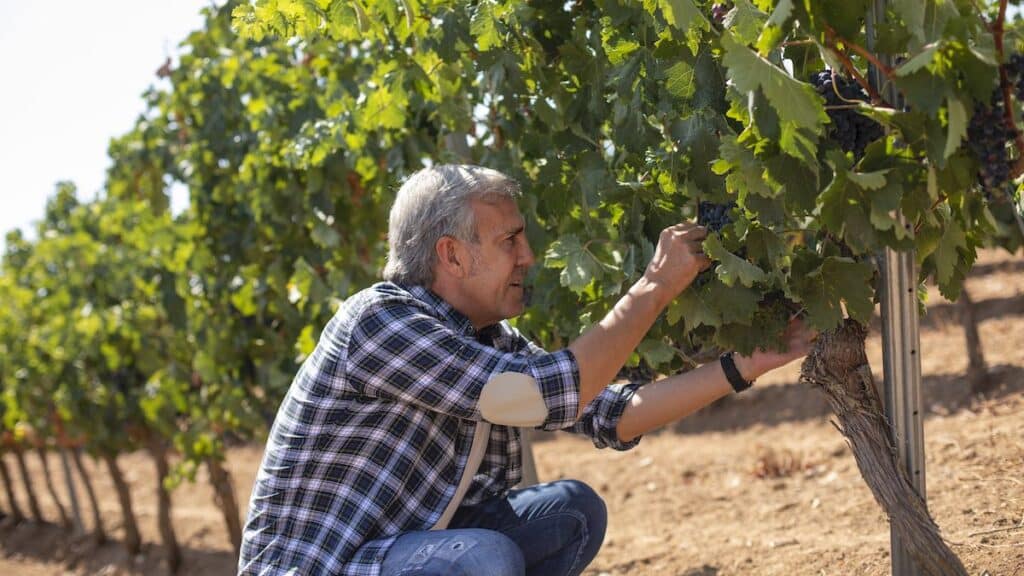 Cepa 21 | fast company mexico