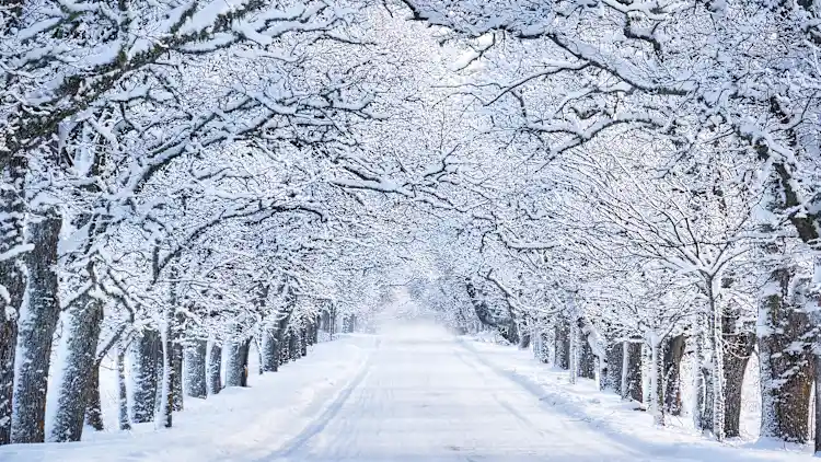 [Foto: candy1812/Adobe Stock]