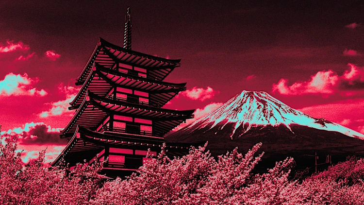 [Fuente Foto: Freepik]