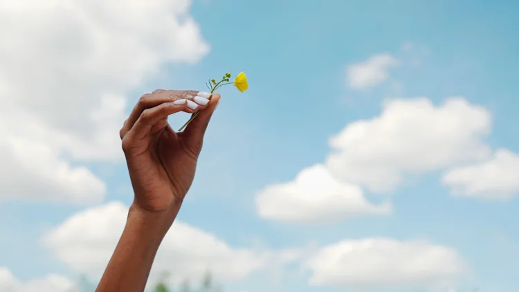 [Foto: We are/Getty Images]
