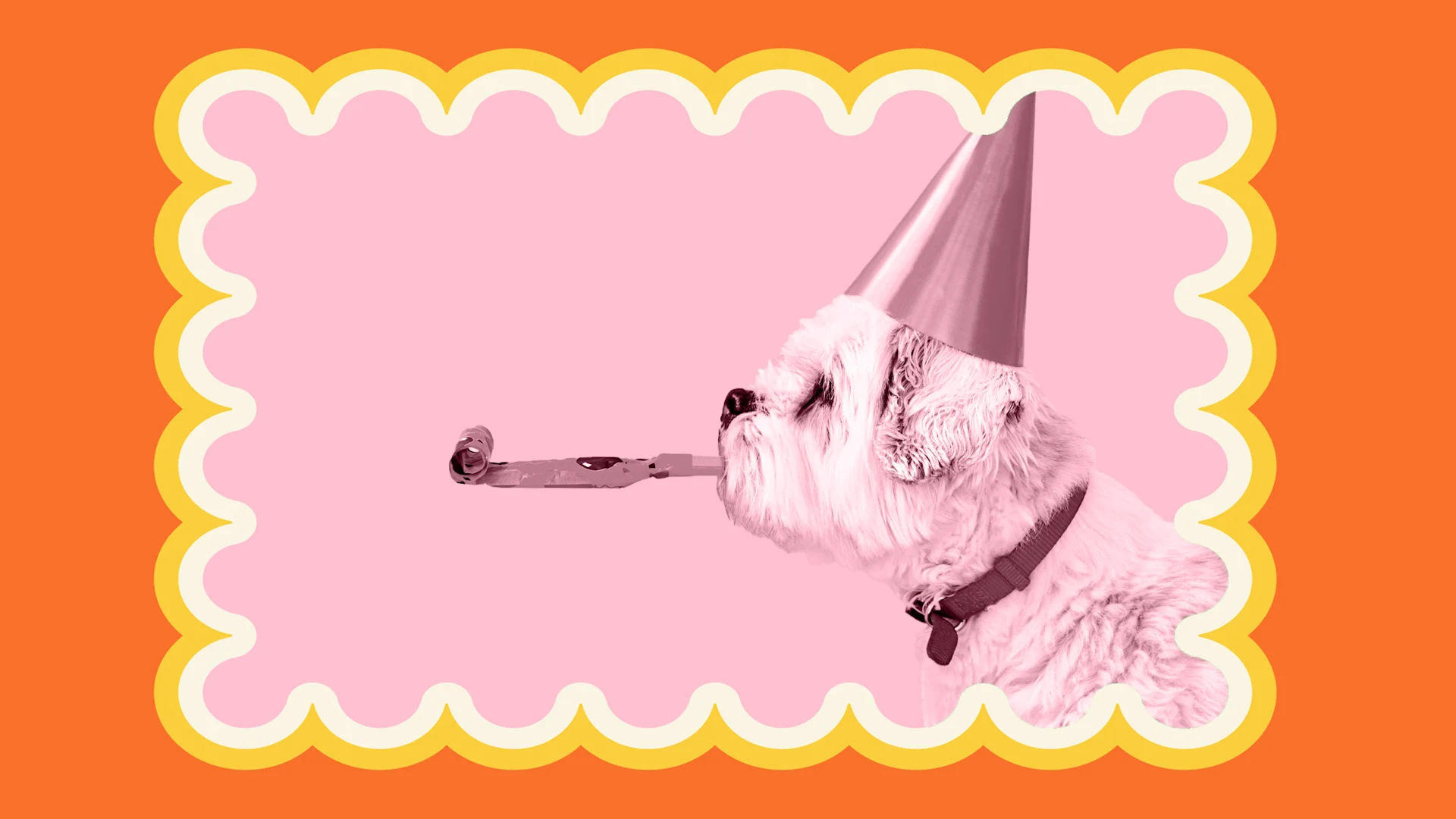 [Foto: Rudzhan/Adobe Stockl; Ruth Black/Adobe Stock]