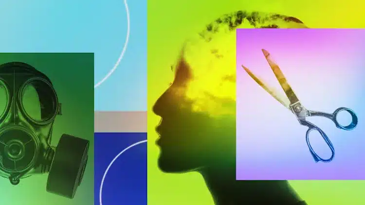 [Fotos: tiero/Adobe Stock; primipil/Adobe Stock; Gudman/Adobe Stock]