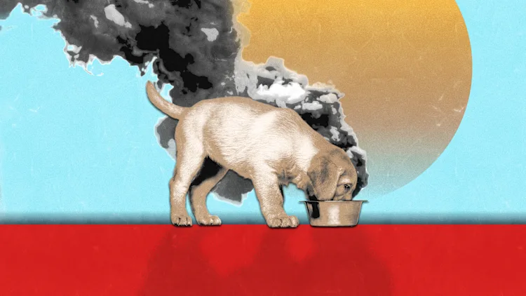 [Fuente: Eric Isselée/Adobe Stock]