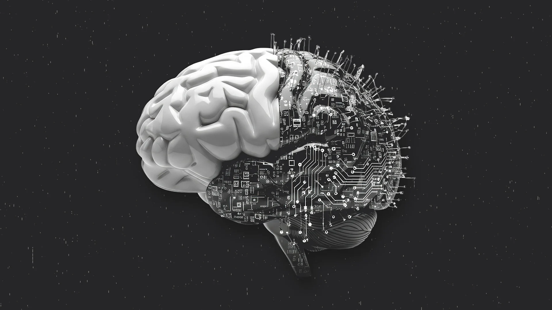 [Imagen: Leon/Adobe Stock]