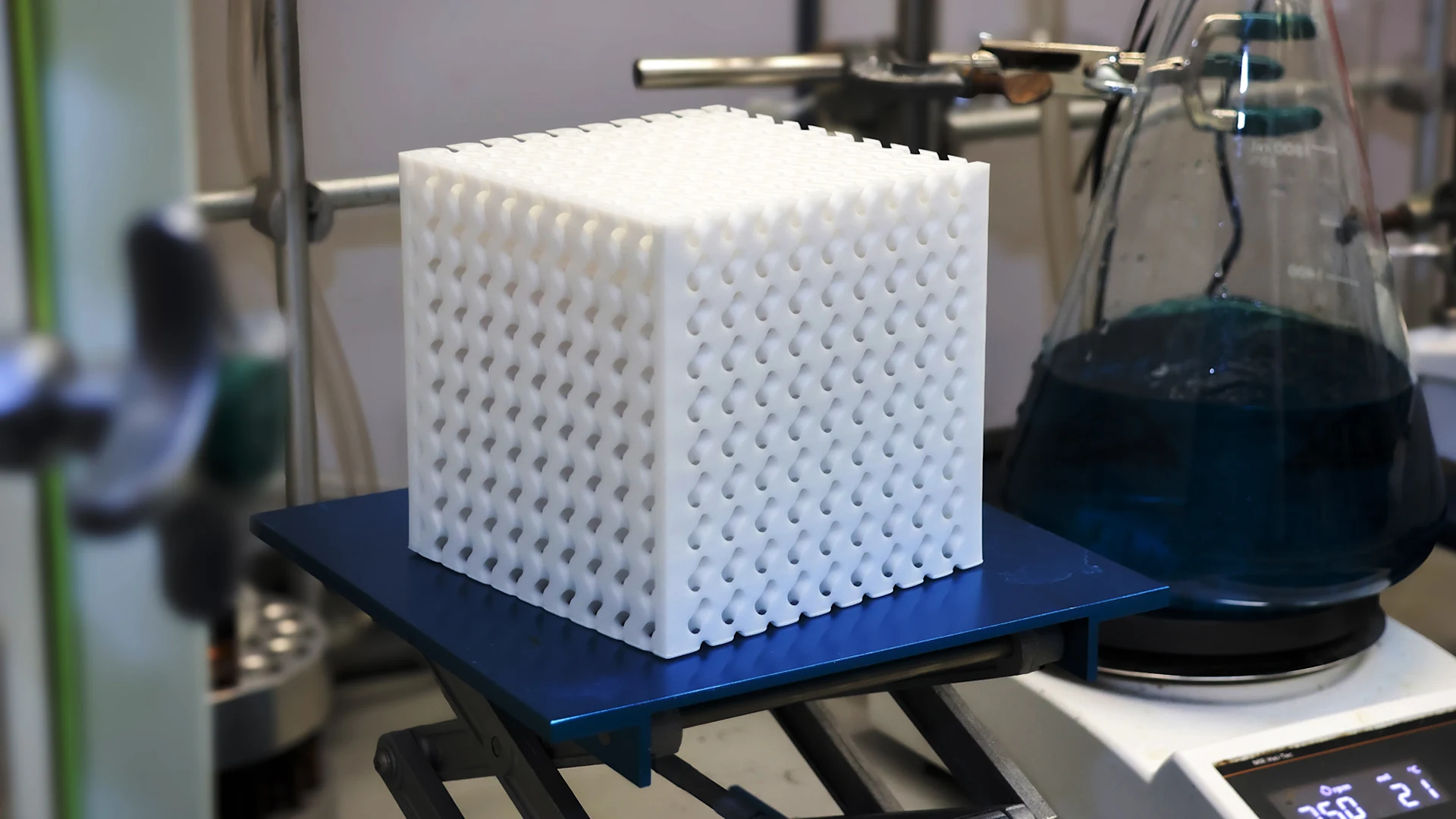 [Foto: Génesis Cosme/Universidad de Texas en Austin]