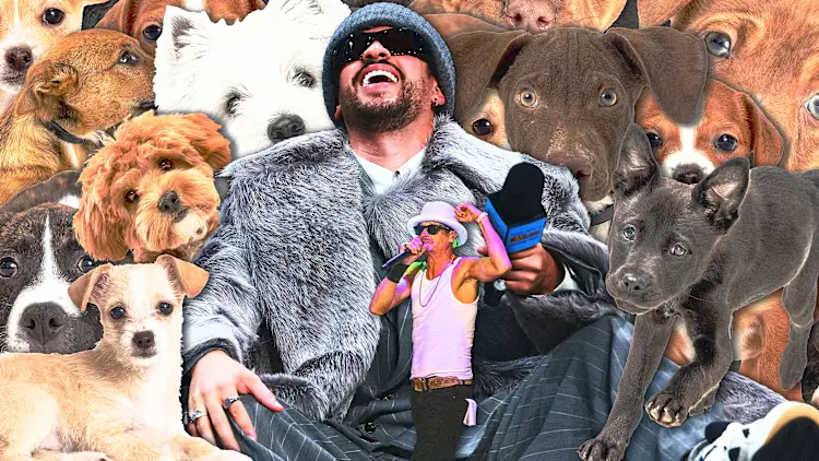 [Fotos: Kevin Mazur/Getty Images/Roc Nation (Bad Bunny), Gary Miller/Getty Images (Kid Rock), Adobe Stock]