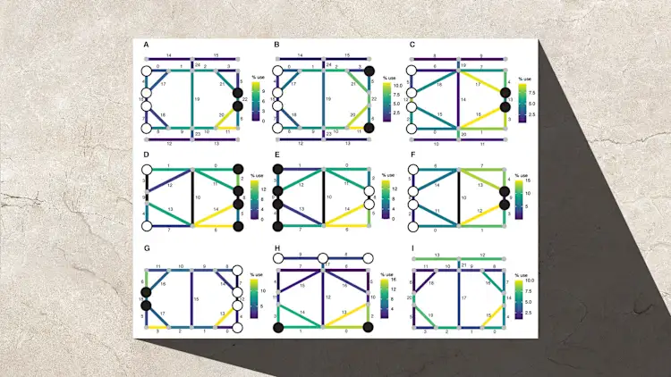 [Imágenes: Crist, Walter et al. “Ludus Coriovalli: Uso de simulaciones basadas en inteligencia artificial para identificar las reglas de un antiguo juego de mesa”. Antiquity 100.409 (2026): 111–126. Web.; Obsessively/Adobe Stock]