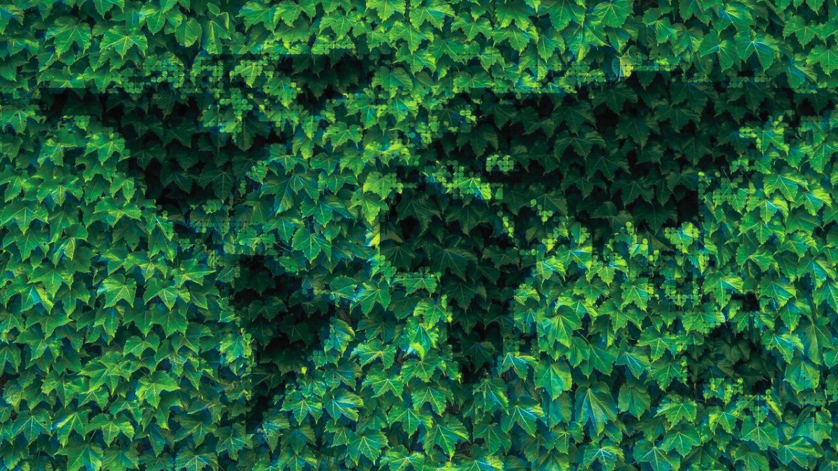 [Foto: geralt/Pixabay]