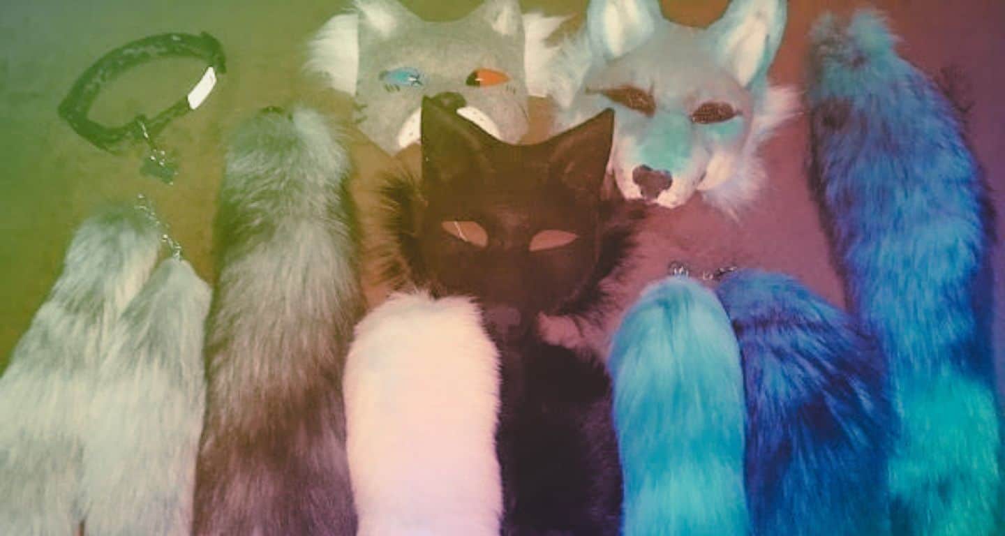 [Imagen: Dyingyote98/Wikimedia Commons]