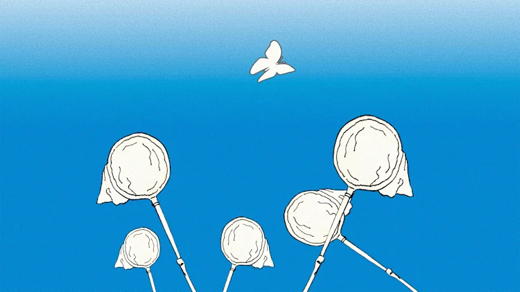 [Imagen: Nataliia/Adobe Stock]