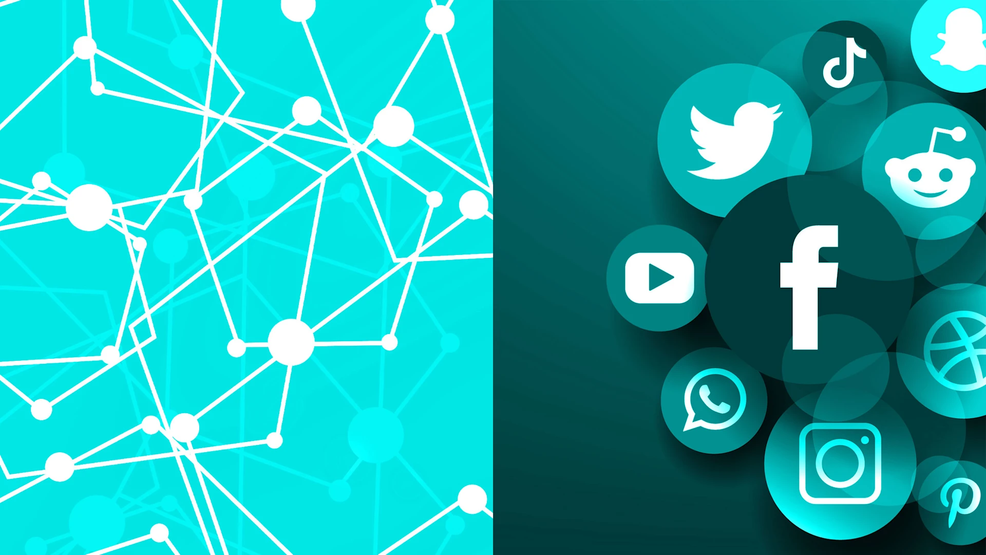 [Imágenes: Aleksandr Gladkiy/Adobe Stock; Senki/Adobe Stock]