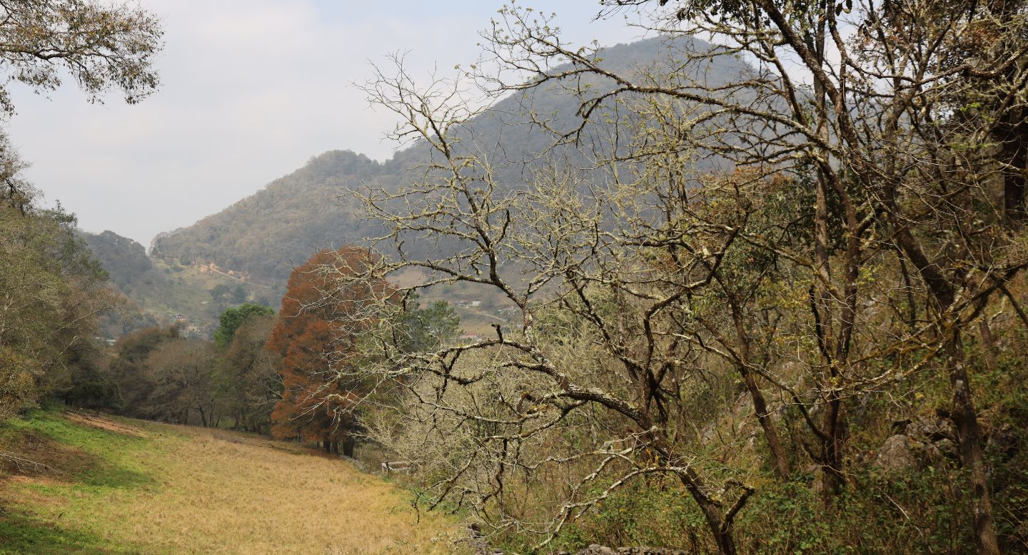 [Foto: Cortesía GESG]