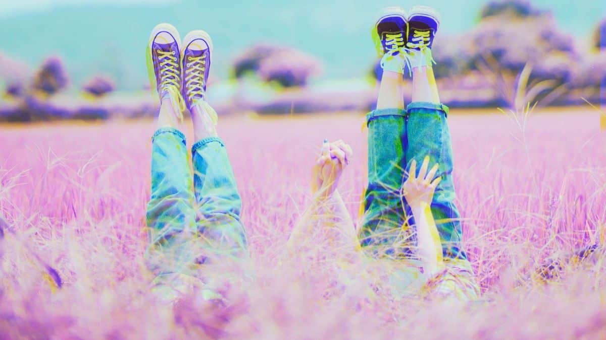 [Foto original: Chuotanhls/Pixabay]