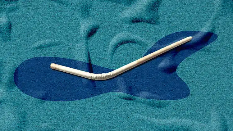 [Fotografía original: Hasyim Hasyim/iStock/Getty Images Plus]