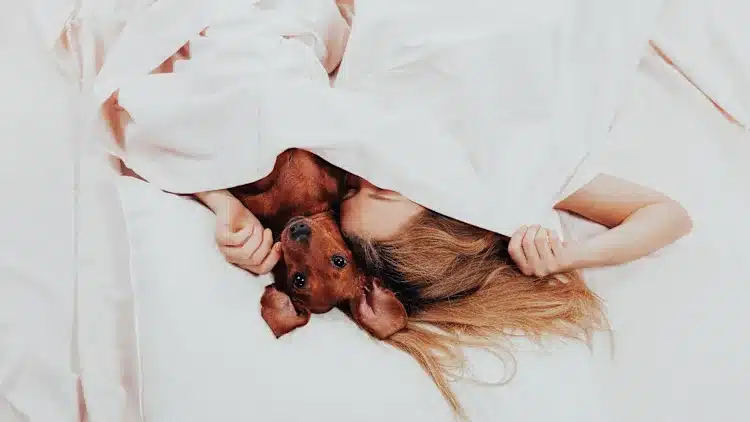 [Foto: Julia/Adobe Stock]