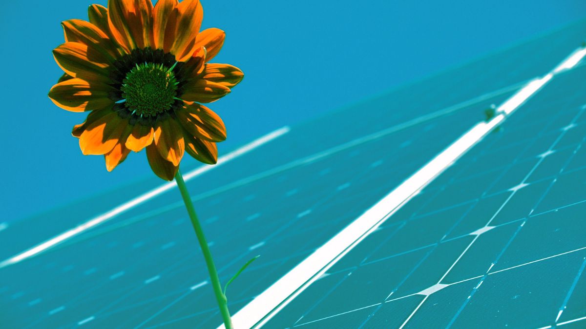 [Imagen: gerhardt12/Pixabay