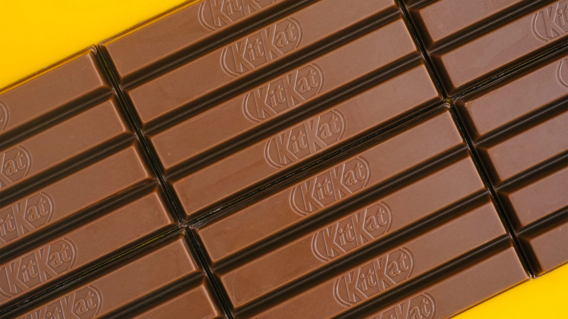 [Foto: rosinka79/Adobe Stock]