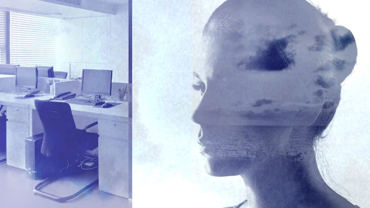 [Fotos: Adobe Stock]

