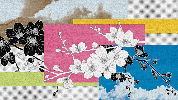 [Imágenes de origen: Plawarn/Adobe Stock, Malachi Brooks/ Unsplash , Kumiko Shimizu/ Unsplash]