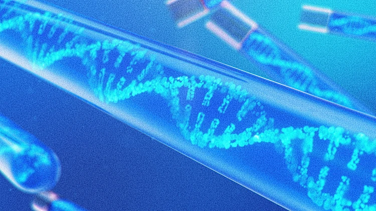 [Foto: rost9/Adobe Stock]