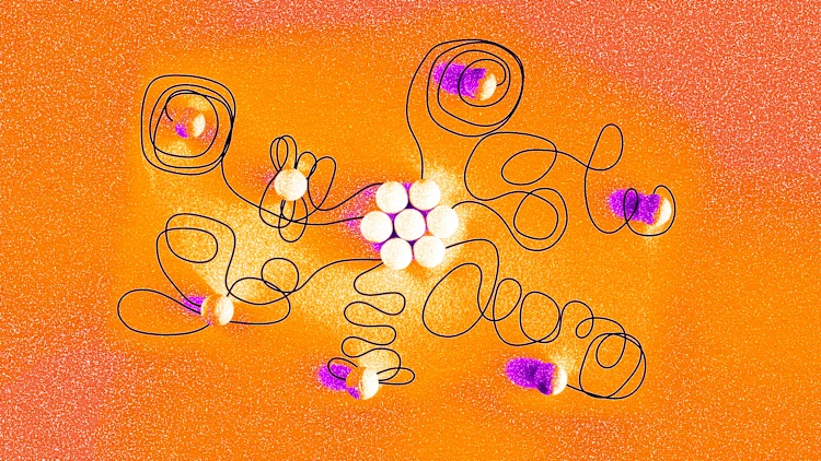 [Imagen fuente: Kirsten Hinte/Adobe Stock]