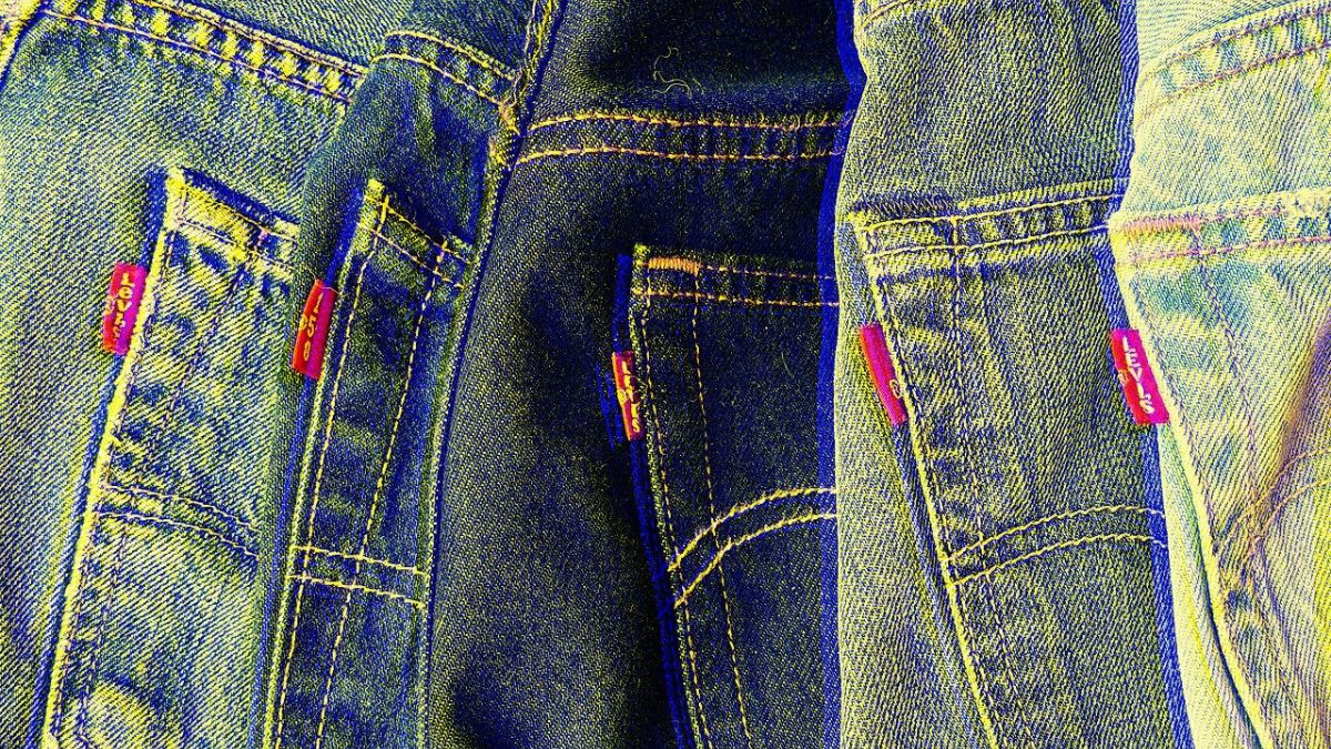 [Foto: Olgierd Rudak/Wikimedia Commons]