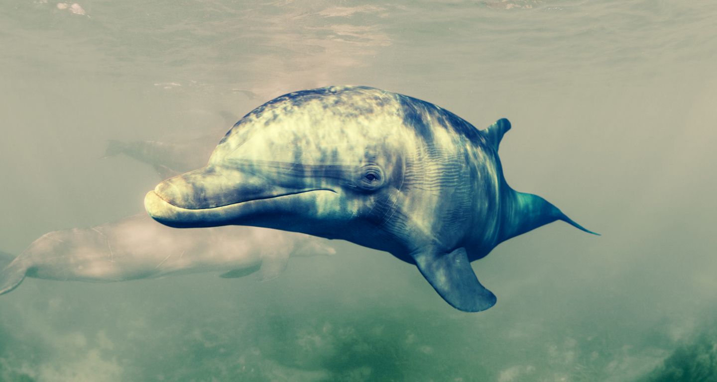 [Foto: wirestock/Freepik]