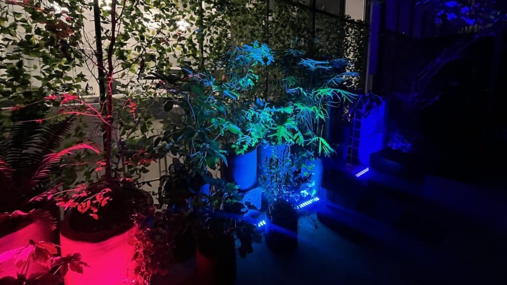 InSpace Polanco | fast company mexico