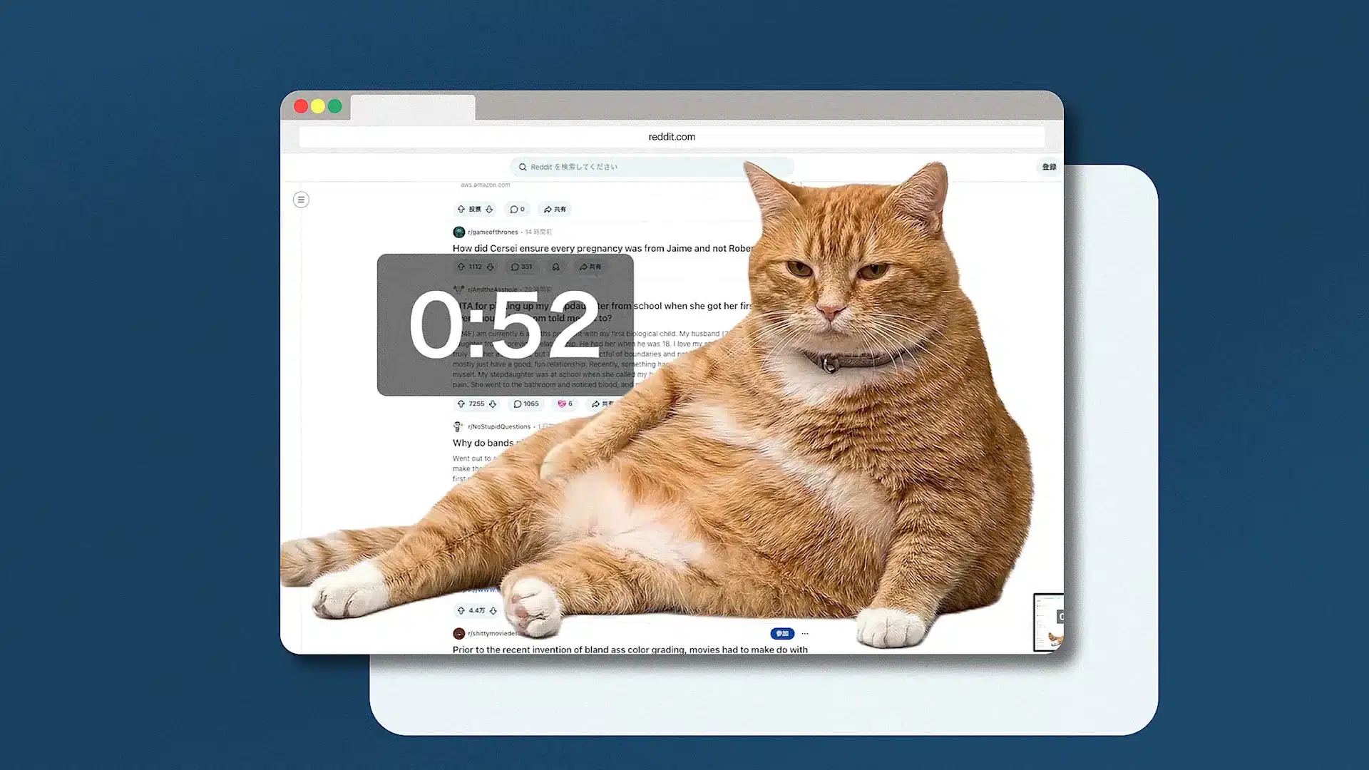 [Imagen: Cat Gatekeeper]