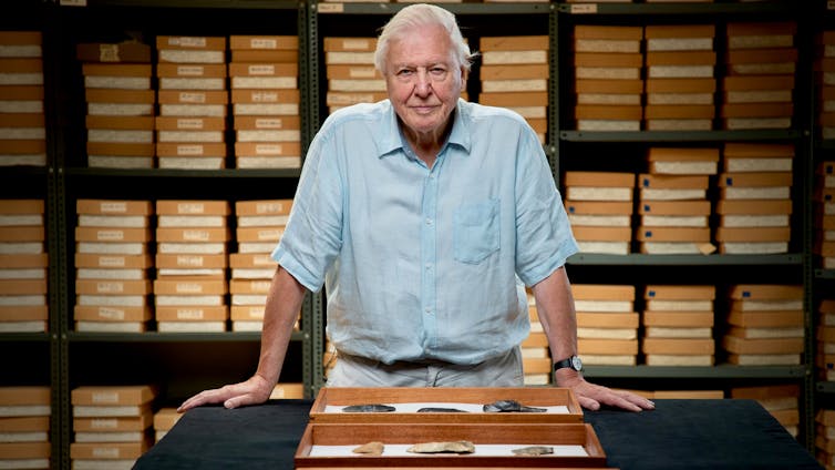 Attenborough en el archivo de un museo.