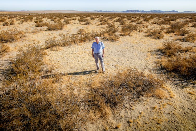 Attenborough estaba de pie en el desierto.