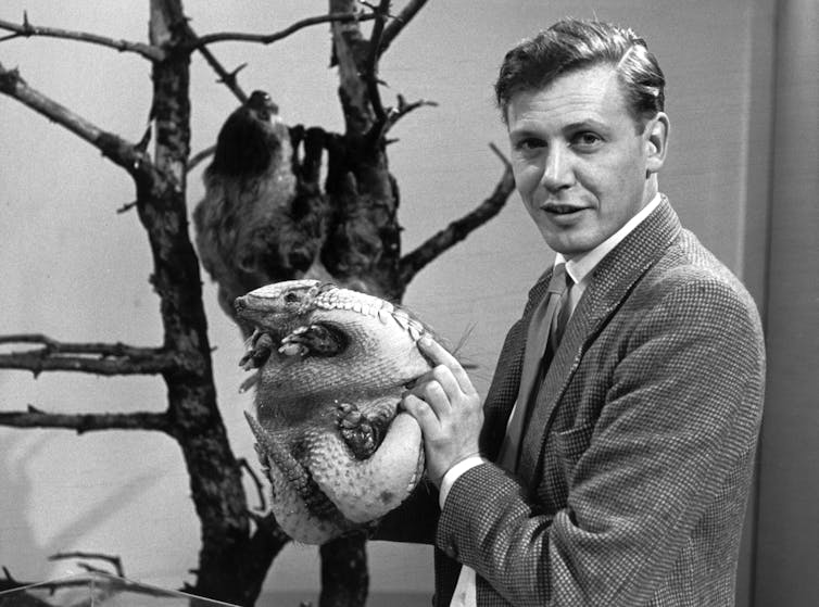 Un joven Attenborough sosteniendo un armadillo