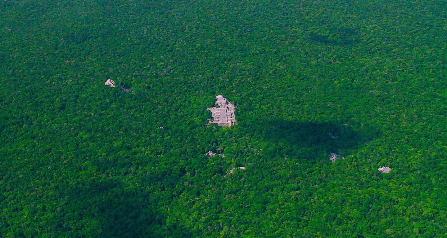 Reserva de la Biosfera de Calakmul. [Foto: INAH/Wikimedia Commons]