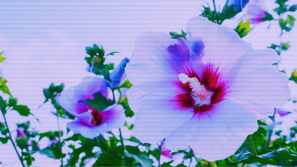 [Imagen: photooo/Pixabay]