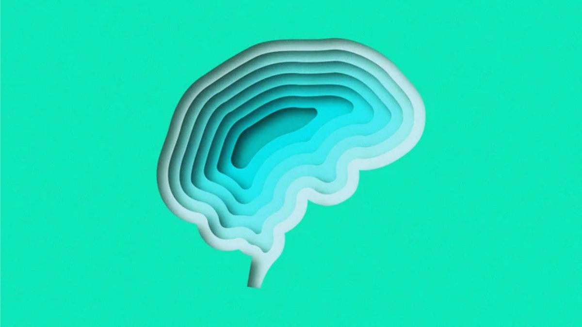 [Imagen: Dedraw Studio/Adobe Stock]